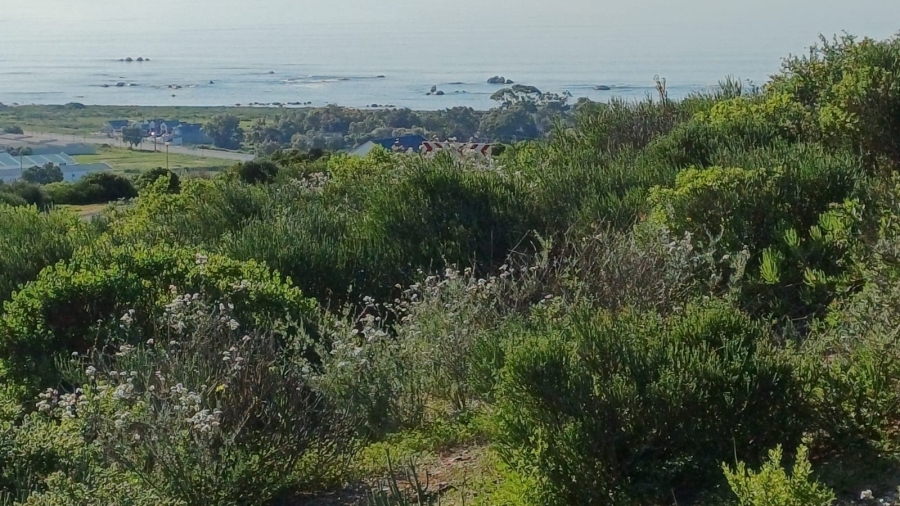 0 Bedroom Property for Sale in Steenbergs Cove Western Cape